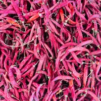 فلفل تند قرمز خشک