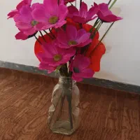 اول پسند کن بعدخریداری کن|گل مصنوعی|کرج, حصارک بالا|دیوار