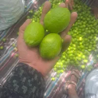 ابلیموی طبیعی و دوبار صاف شده