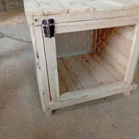 خانه سگ و کفتر مرغ|لوازم جانبی حیوانات|شیروان (خراسان), |دیوار