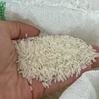 برنج هاشمی درجه یک