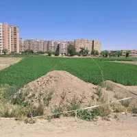 فروش زمین کشاورزی دارای مادر سندمناسب باغ ومسکونی|فروش زمین و ملک کلنگی|اصفهان, اطشاران|دیوار