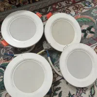 هالوژن