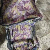 کالسکه عصایی سالم