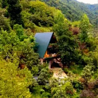 کلبه بهشت تک خوابه دردل جنگل چشم کیایی