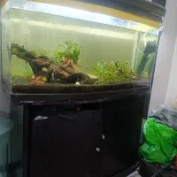 آکواریوم شرکتی با کمد