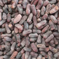 فروش خرمای پیارم|خوردنی و آشامیدنی|قصرشیرین, |دیوار