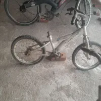 دوچرخه کوهستانی|دوچرخه، اسکیت، اسکوتر|باروق, |دیوار