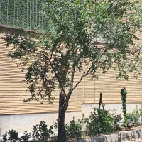 320-متر-مناسب-ساخت-محدوده-ارتش