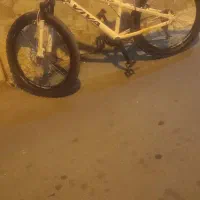 دوچرخه ویوا 24