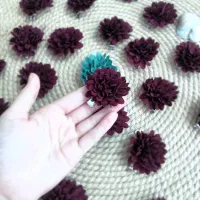 گیره و کش مو شیک