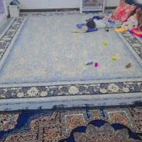 فروش فوری فرش|فرش|زاهدان, |دیوار