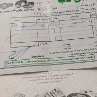 باسلام گردنبند به وزن ۵ گرم گم کردم