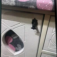 میزاتو مبله