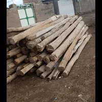 خرید چوب|خدمات باغبانی و درختکاری|قوچان, |دیوار