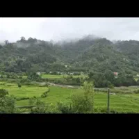 زمین 300 متر مسکونی کوهپایه جنگلی در شهر لیسار|فروش زمین و ملک کلنگی|لیسار, |دیوار