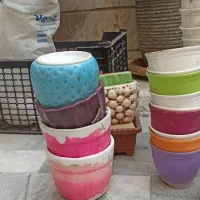 گلدان|گل و گیاه طبیعی|تهران, سلسبیل شمالی|دیوار