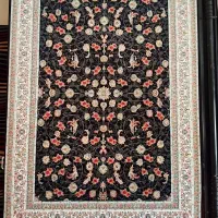 گل سرخ  سرمه ای