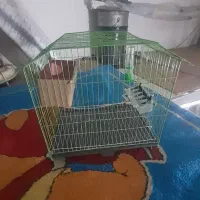 قفس پرنده
