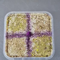 فروش عمده  حلوای معجون و پشمک تبریز