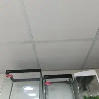 انواع آکواریوم دست دوم ونو وملزومات زیر قیمت بازار|ماهی|بوشهر, |دیوار