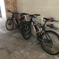 دوچرخه طرح ویوا|دوچرخه، اسکیت، اسکوتر|لاهیجان, شقایق|دیوار