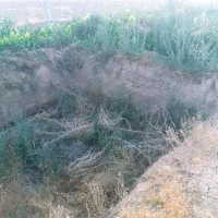 باغ 1000 متری با اب در شکرک|فروش خانه و ویلا|ابهر, |دیوار