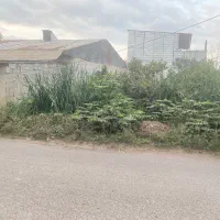 زمین واقع در سیااسطلخ  ..کوچه بوستان ۲۲/۱