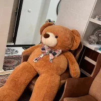 خرس بزرگ|اسباب‌بازی بچه|سهند, |دیوار