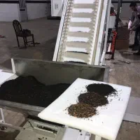 پخش چای ایرانی|عمدهفروشی|تاکستان, |دیوار