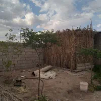 دامداری یا باغ