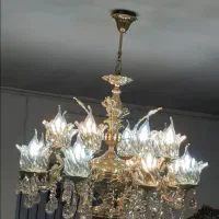 لوستر سلطنتی درحد نوع فوق‌العاده زیبا