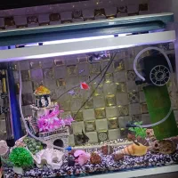 اکواریوم با تمامی لوازم