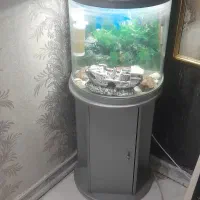 اکواریوم