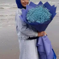 دسته گل ژیپسوفیلا عروس هلندی|گل و گیاه طبیعی|تهران, شهرک آزادی|دیوار