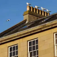 پرچمدار وان پلاس 6ماه کارکرد|موبایل|گرگان, |دیوار