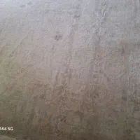 قالی 6متری