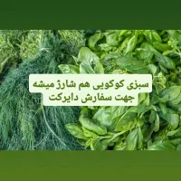 سبزی آماده|خوردنی و آشامیدنی|خان ببین, |دیوار