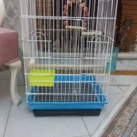 قفس ۱۰۳۳ سفید سری قدیمی کف ابی محکم