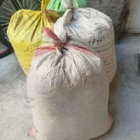 بار و کود کبوتر