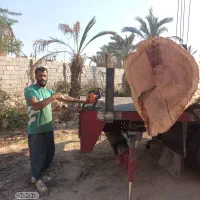 چوب درخت شما را خریدارم