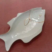 دیسک ماهی خوری