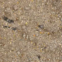 کنسانتره سوپر دامی