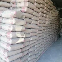 سیمان‌ مدلل تیپ2 و گچ‌وخاک زیر قیمت بازار