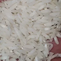 برنج هاشمی ممتاز درجه یک اصل فریدونکنار|خوردنی و آشامیدنی|تهران, صفا|دیوار