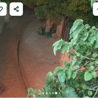 سوئیت آپارتمان آرتا (واقع در بوژان ۲)|اجارهٔ کوتاه‌مدت آپارتمان و سوئیت|نیشابور, مازول|دیوار