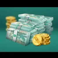 یک ضامن با فیش حقوقی