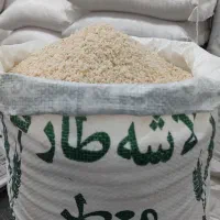 سرلاشه معطر هاشمی