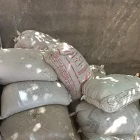 گندم درجه یک مخصوص بذر