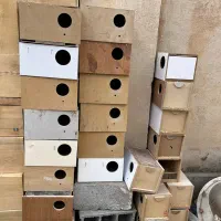 لانه آشیانه عروس هلندی مرغ عشق گرینچیک طوطی|لوازم جانبی حیوانات|اصفهان, سپاهان‌شهر|دیوار